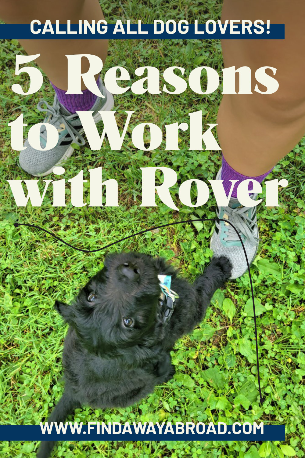 Rover Dog Walking Review Is It The Best Side Gig? A Way Abroad