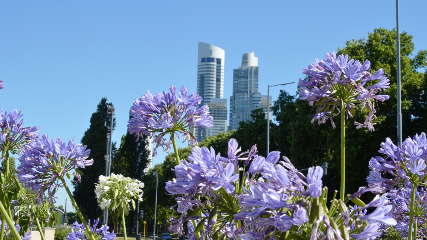 An Expat’s Guide to Living in Buenos Aires, Argentina - A Way Abroad