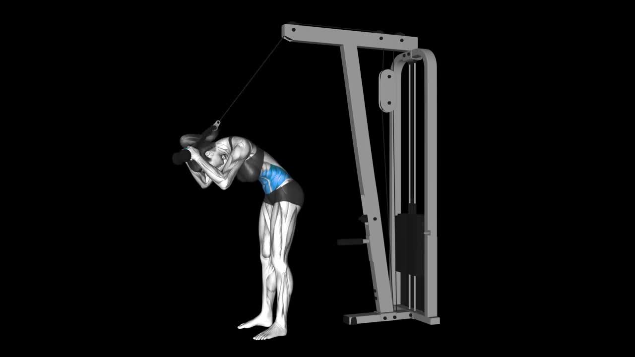 Kneeling Cable Crunch How To Video, Alternatives & More