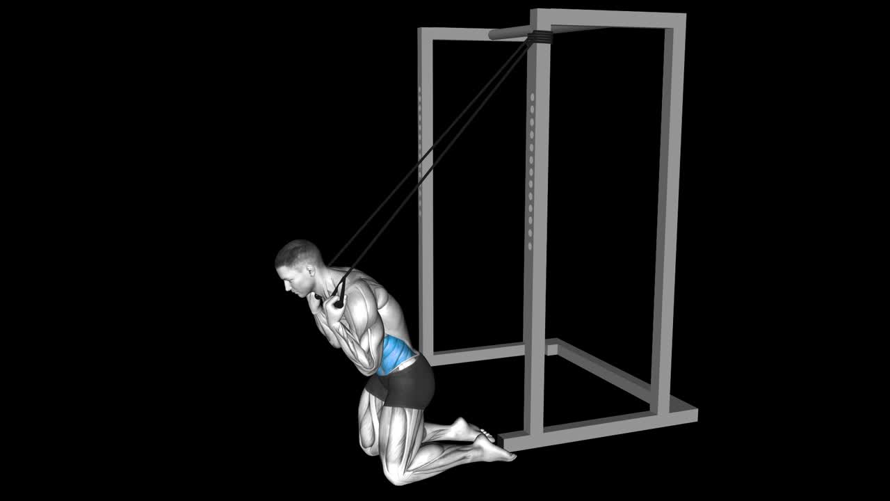 Kneeling Cable Crunch How To Video, Alternatives & More