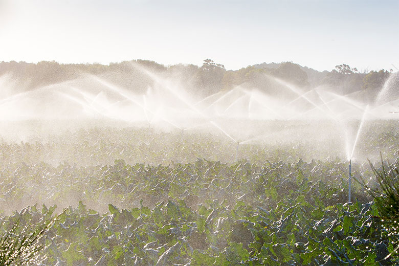 Crop sprayers in Victoria, Australia