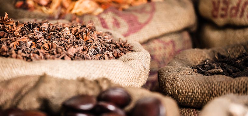 bulk food shop suppliers