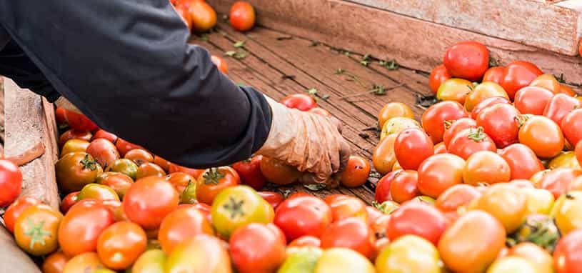 organic produce
