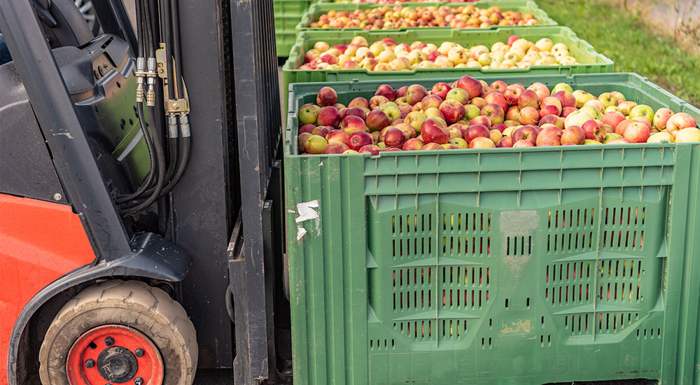 Should you get your organic wholesale from the cheapest supplier