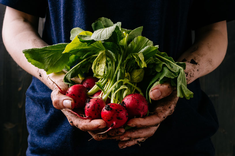 man holding radishes