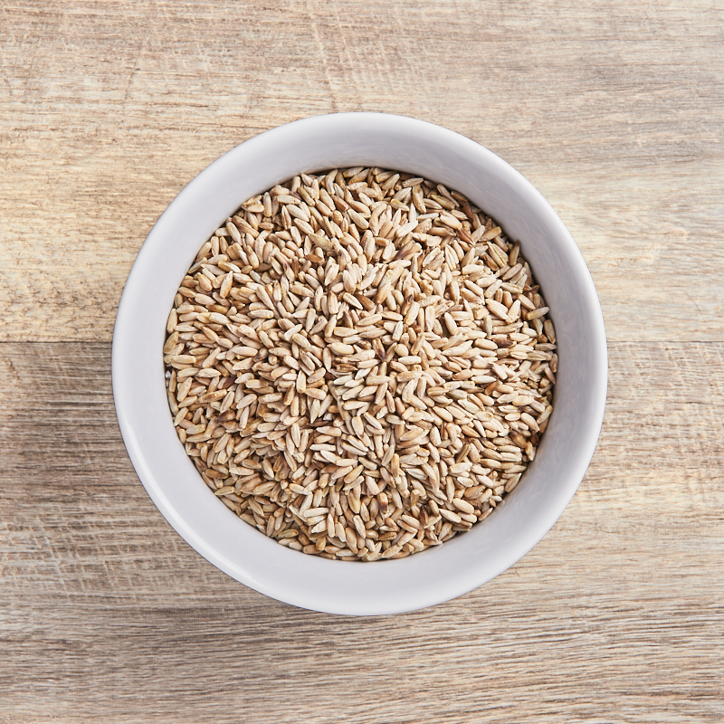 Rye Grain Organic 5kg Grains Terra Madre