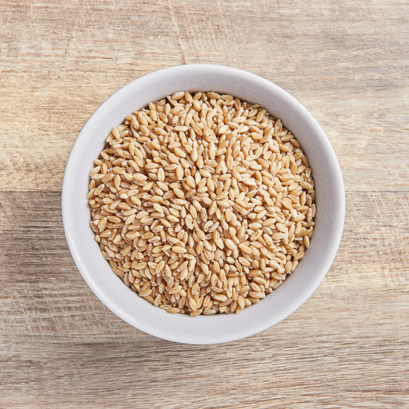 Wheat Grain Org WGM 25kg Grains Terra Madre