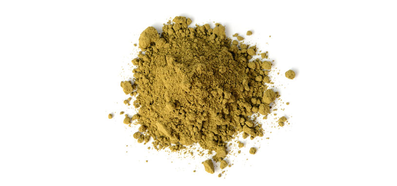 hemp protein powder supplement