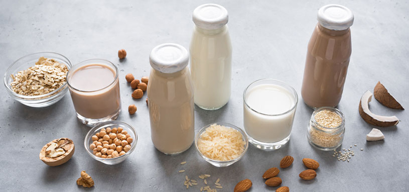 plant based proteins