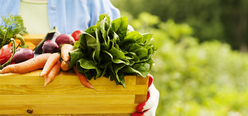 organic regenerative agriculture