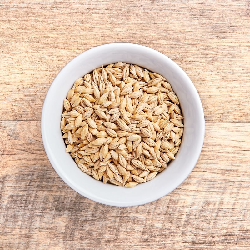 Barley Grain (unhulled with shell) 5kg Grains Terra Madre