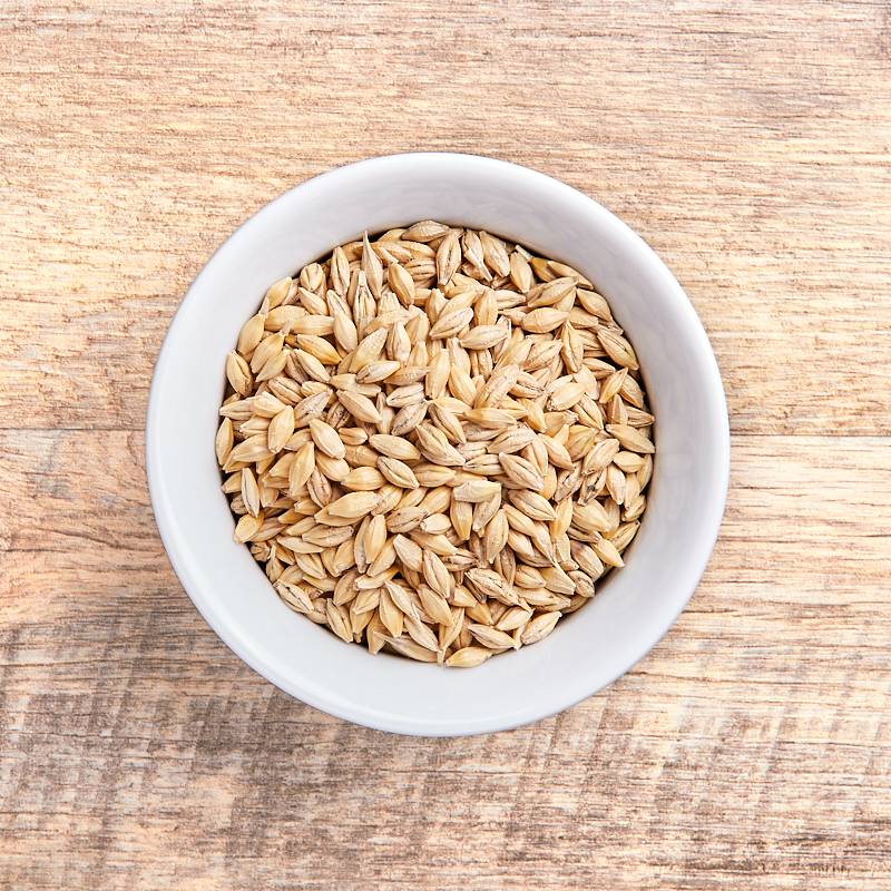 Barley Grain (unhulled with shell) 5kg Grains Terra Madre