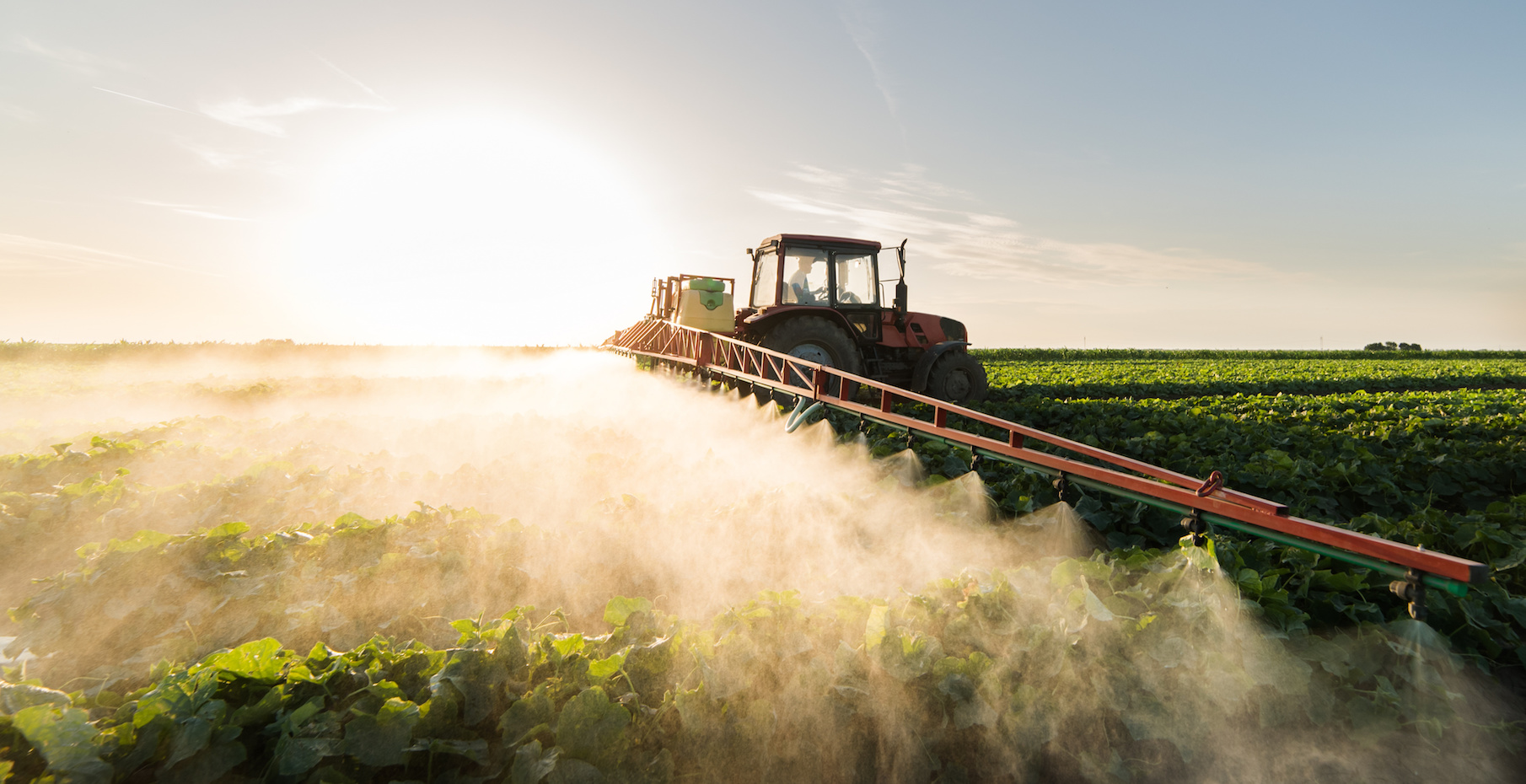 To prevent further injuries from this potentially devastating toxic herbicide, a coalition of groups filed a lawsuit in the U.S. Court of Appeals for the Ninth Circuit last week aiming to reject the EPA’s recent decision to renew its approval for the use of paraquat. 