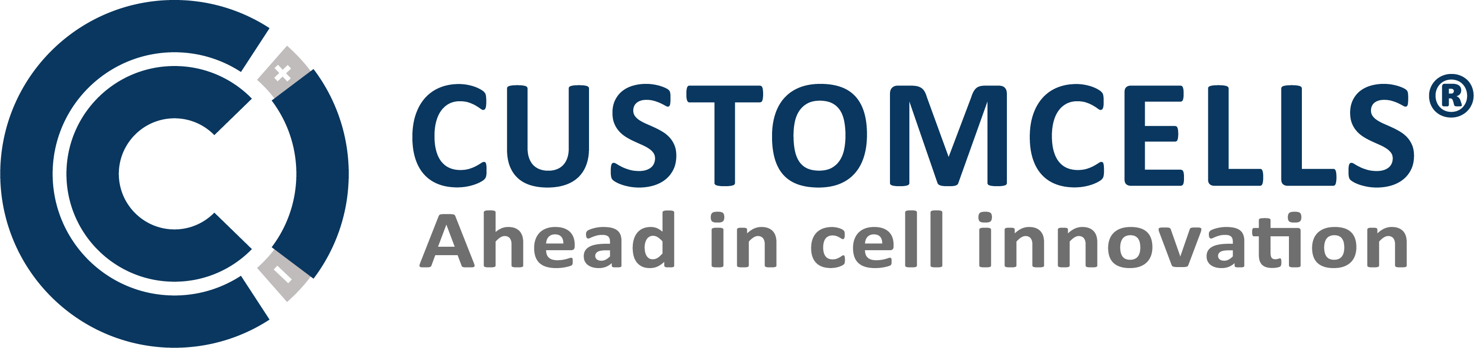 Schive The battery Specialist