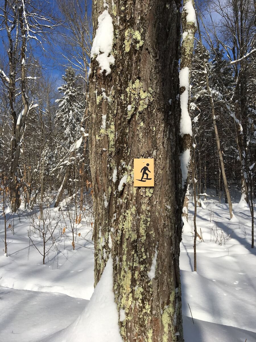 Blue Hills Trail Snowshoeing