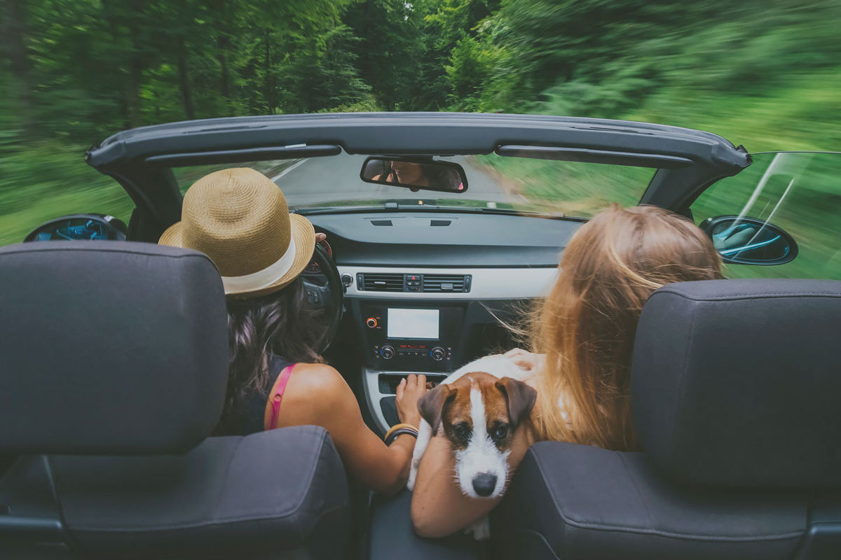 Car Loans