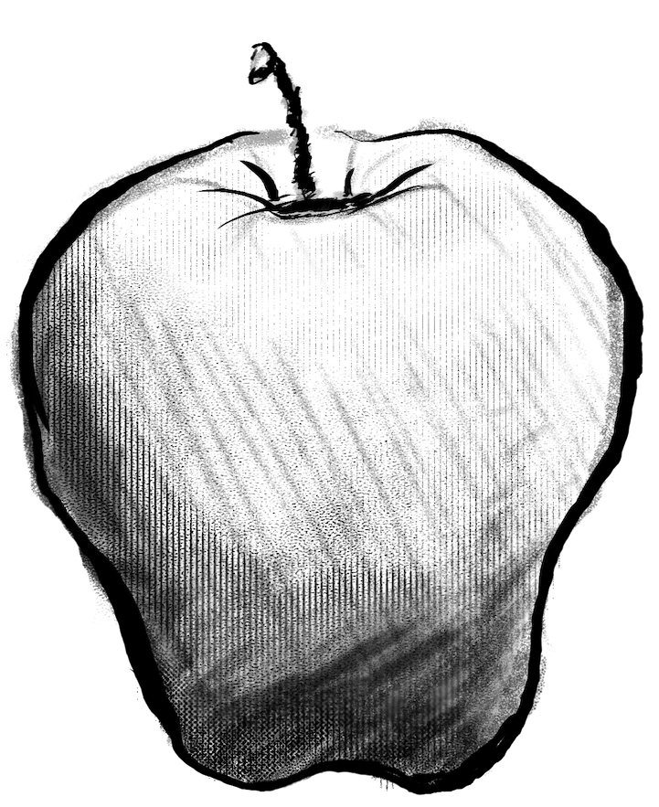 Compostable - Community Composting Solutions