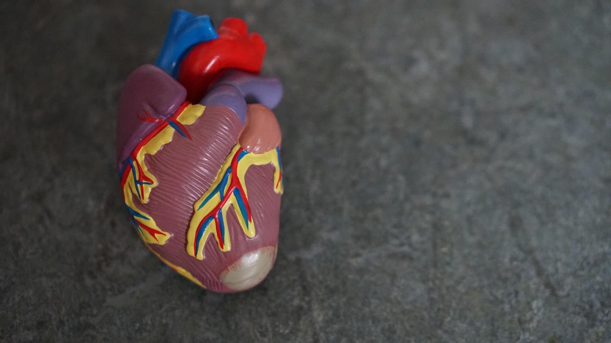 plastic fake heart on rock faded background telemetry nurse