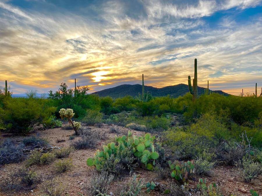 desert landscape of tucson arizona travel nursing in tucson