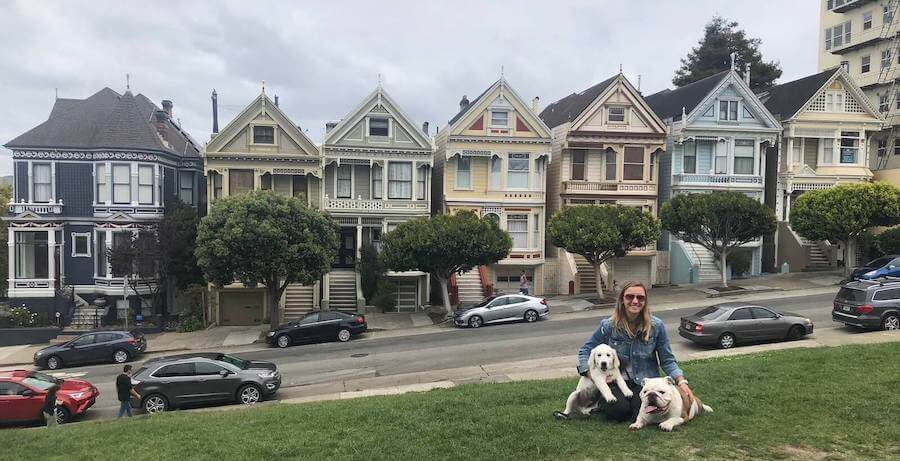 san francisco travel nursing with dogs