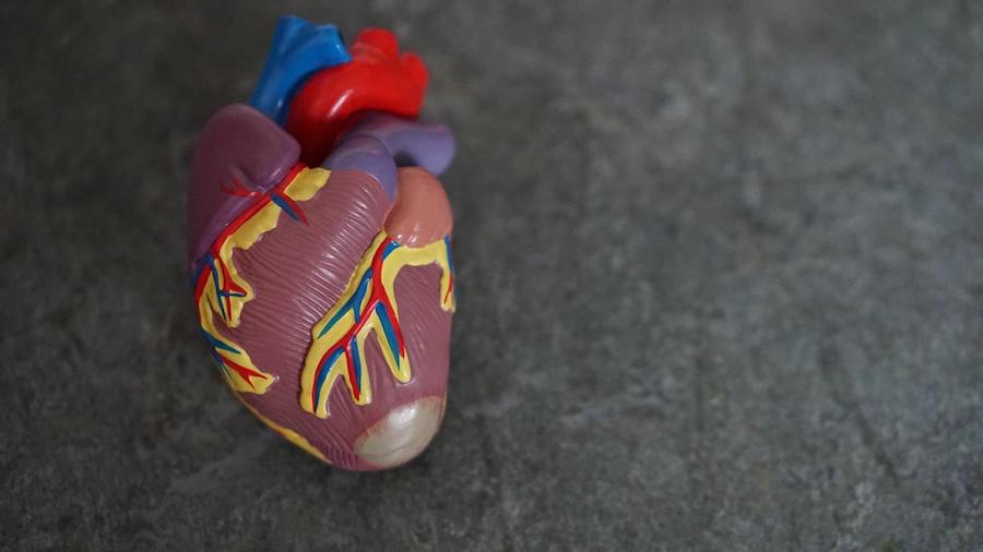 plastic fake heart on rock faded background telemetry nurse
