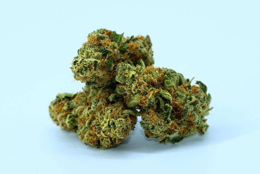 stack of cannabis on table blank background cannabis nursing