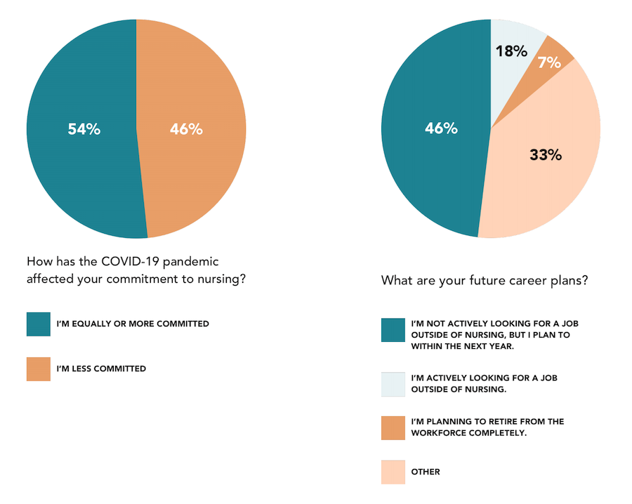 state of nursing pie charts