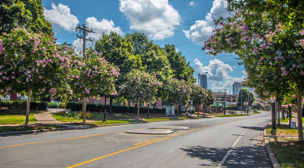 MyNiche Apartments Neighborhood Guide Wesley Heights Charlotte, NC