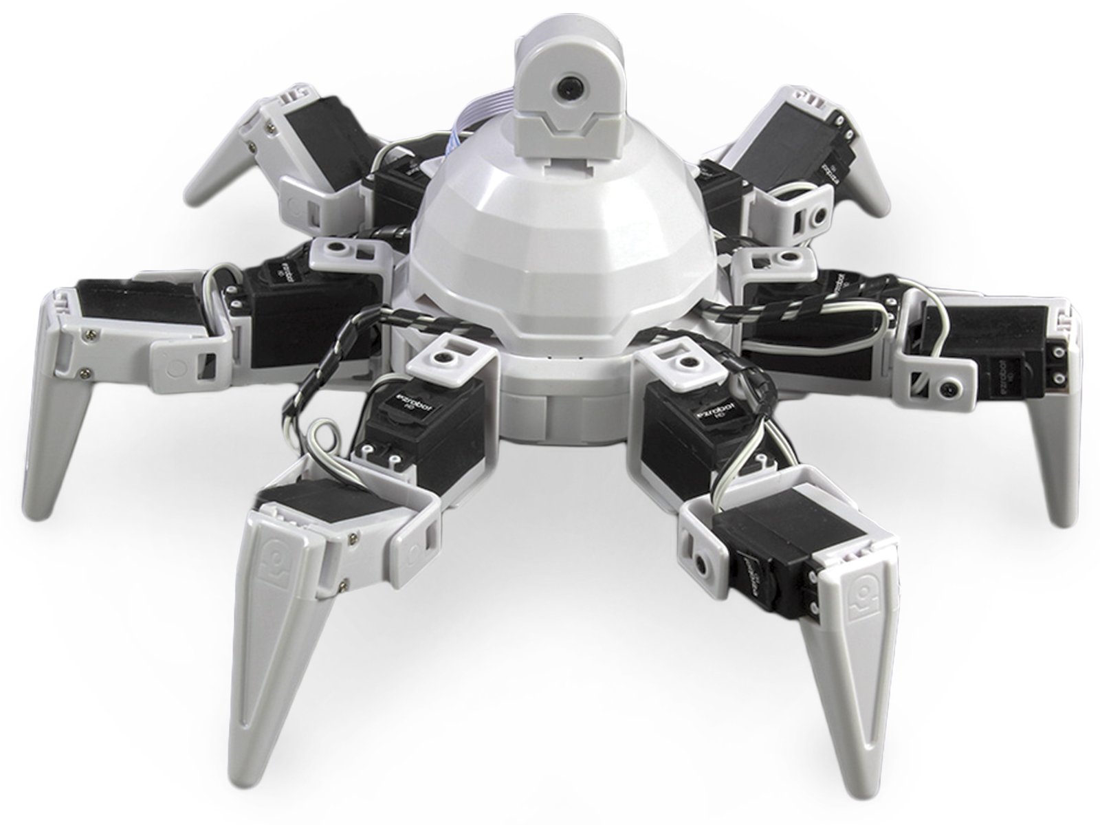 Hexapod robot