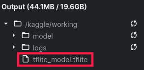 kaggle screen of output section