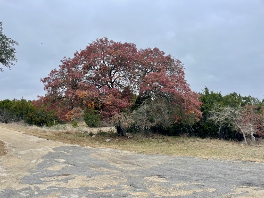 Texas Hill Country Hunting & Ranch Land, XE RanchHarper
