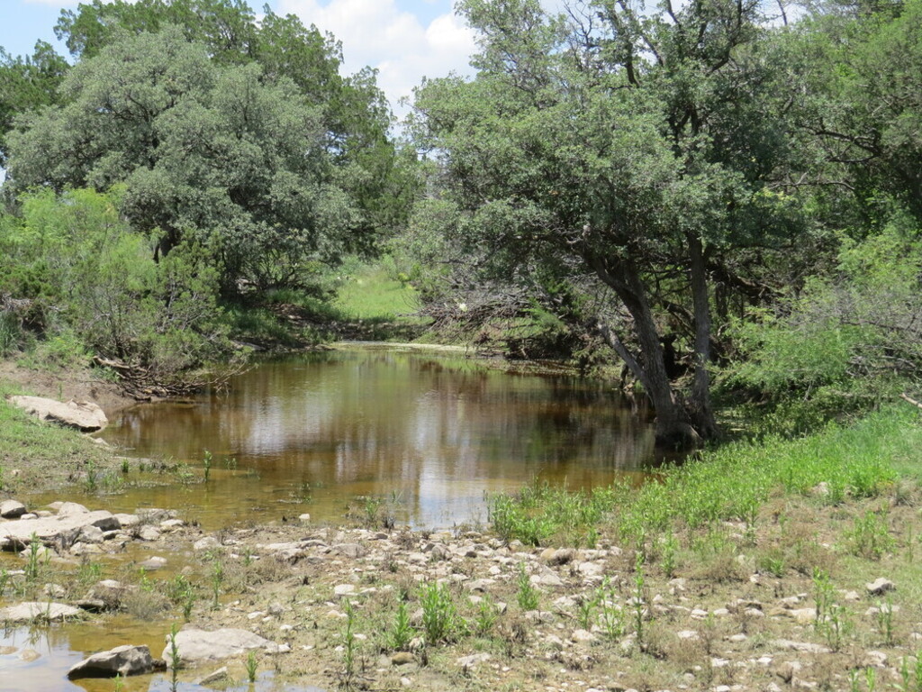 West Texas Hunting & Ranch Land, SilveradoSheffield