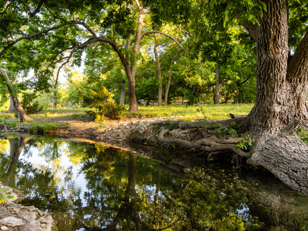 Texas Hill Country Hunting & Ranch Land, Walnut CreekKerrville/FBG