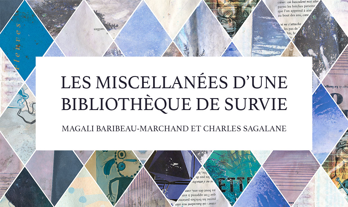 Les miscellanées d'une Bibliothèque de survie | Centre SAGAMIE