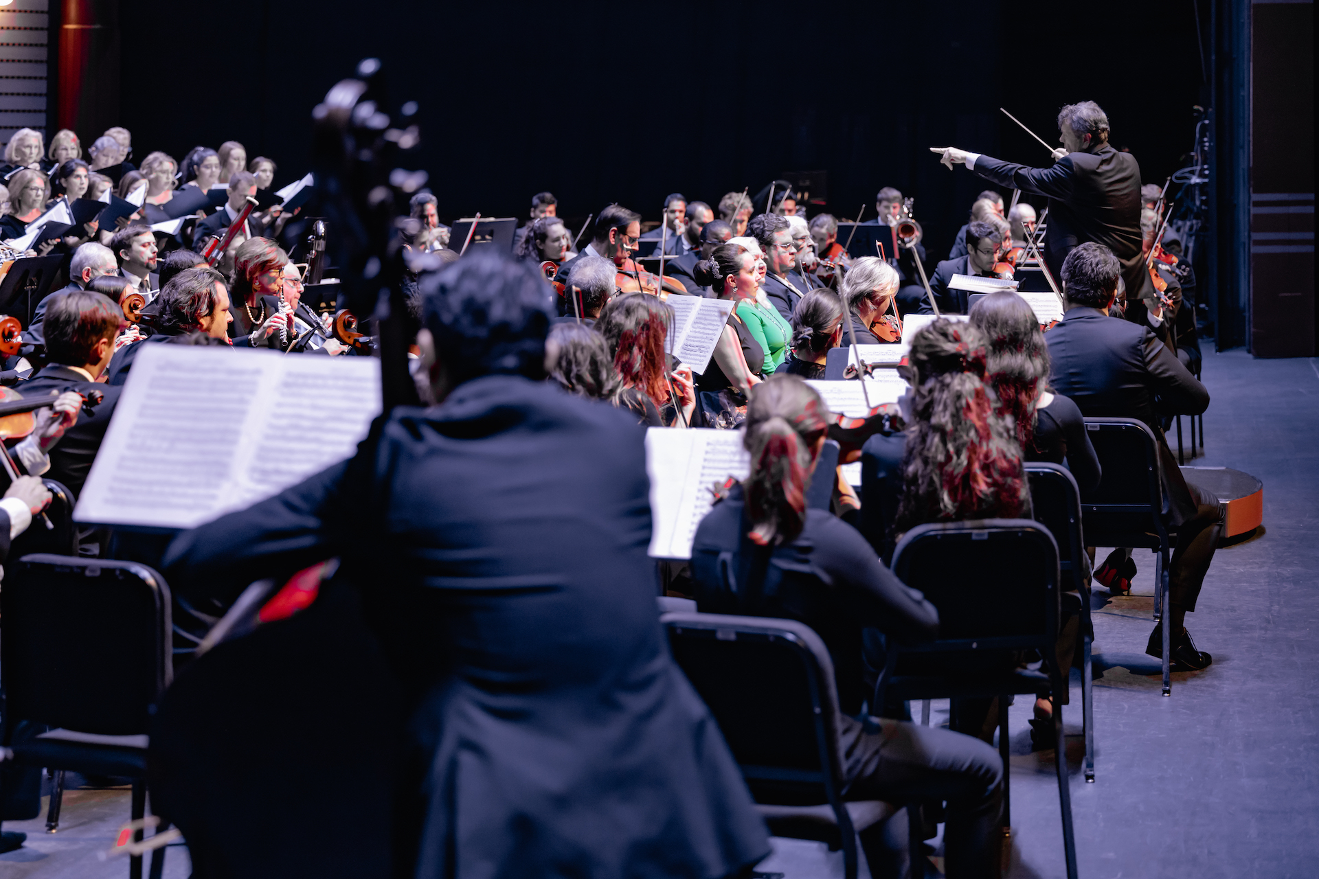 Home Palm Beach Symphony