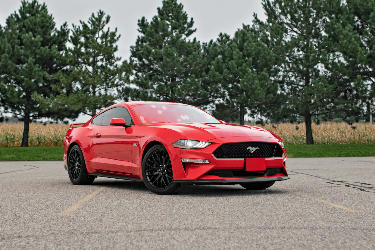 OEM vs Aftermarket Windshield Replacement