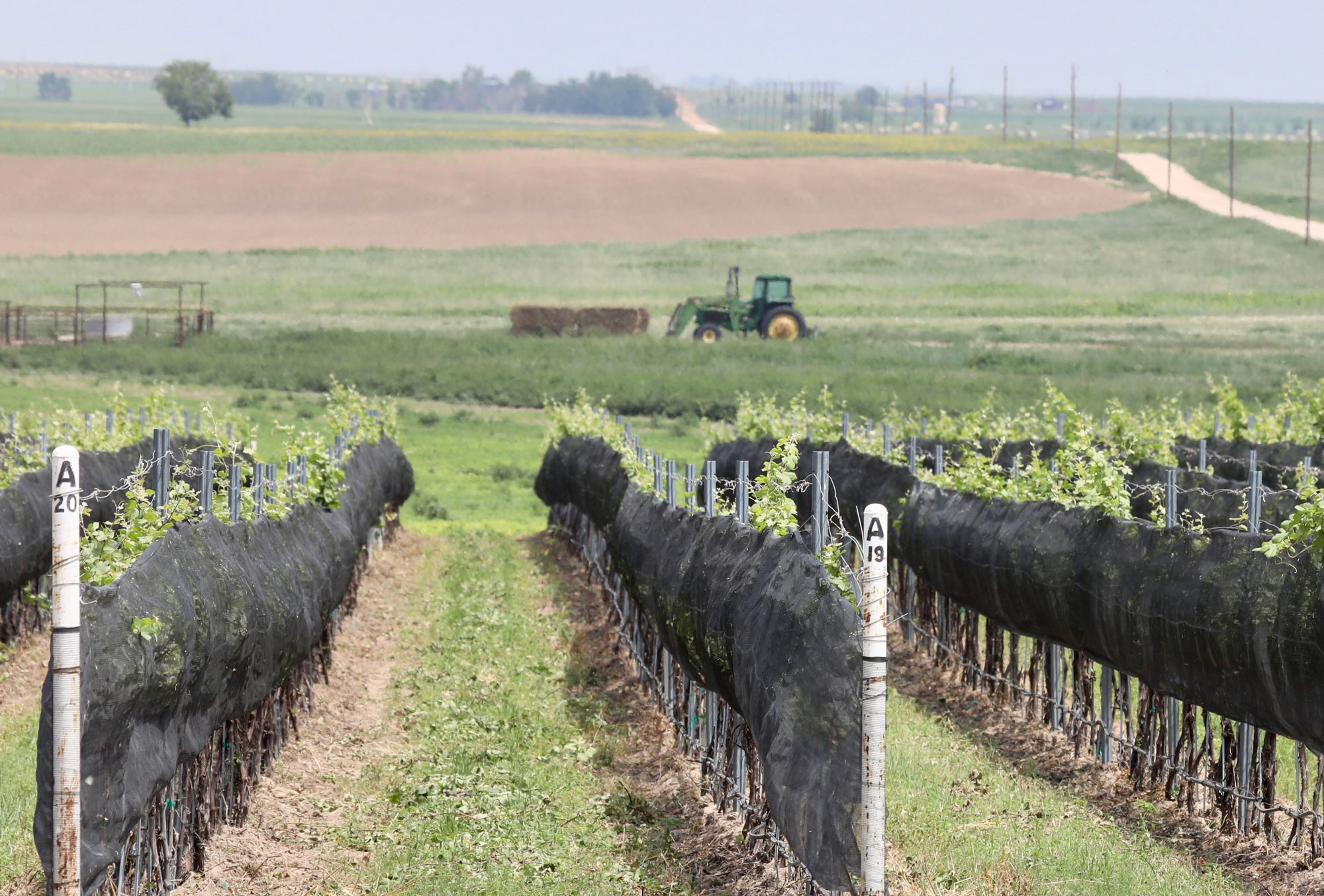 Yoder Farm Dalhart Real Estate Dalhart, TX