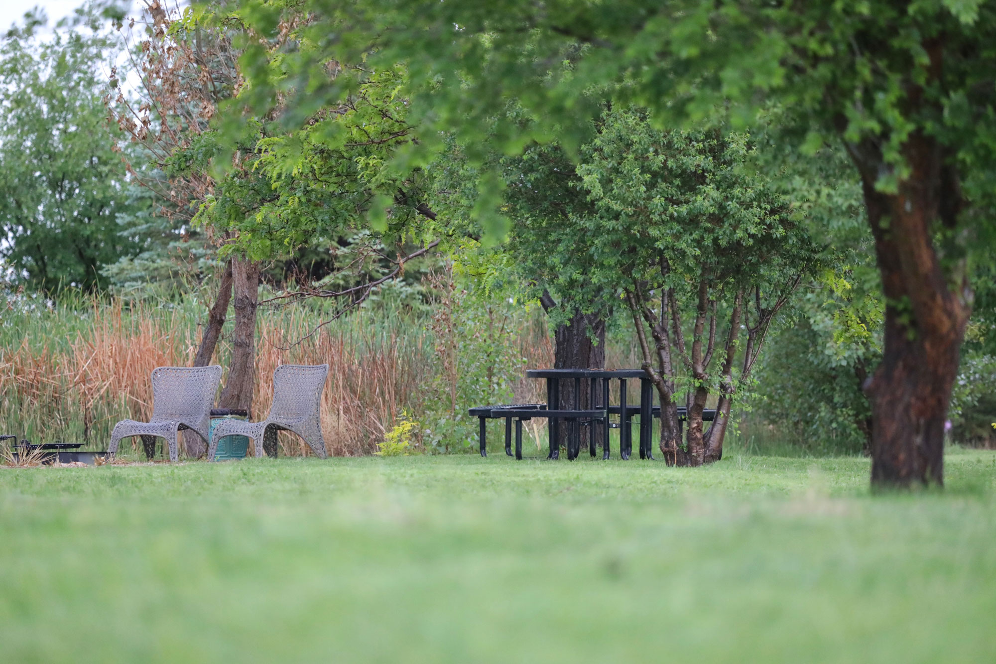 Yoder Farm Dalhart Real Estate Dalhart, TX