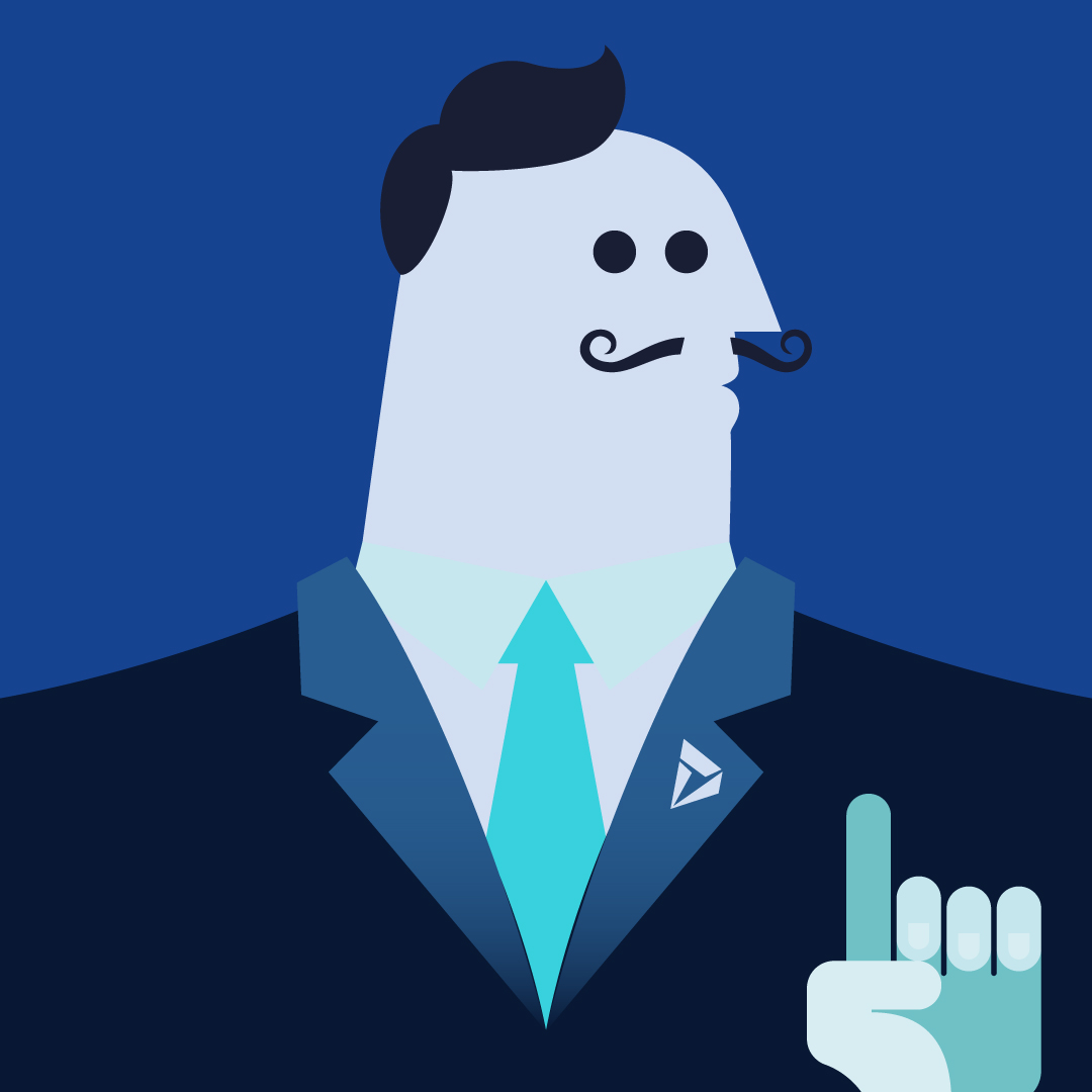 What Does An ERP Consultant Do Blog Anegis