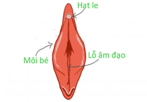 Ngứa hột le là bị gì? Nguyên nhân, Cách chữa trị