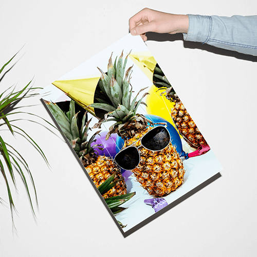 Online Photo Printing Calgary Custom Photo Services