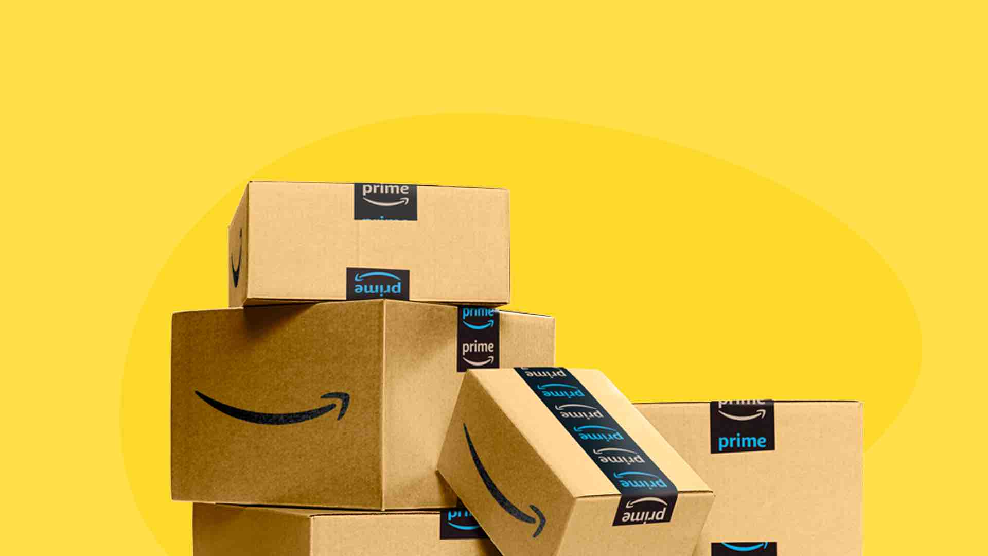 When did amazon start a dot com bubble survivor slidebean company