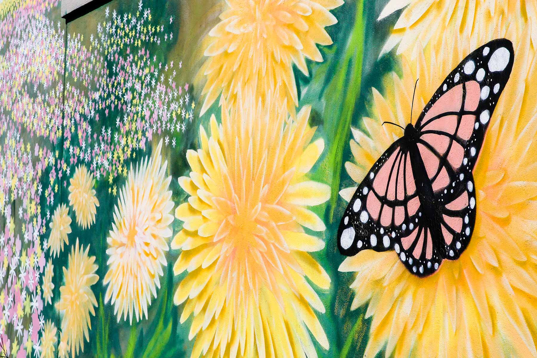 Visit Lake City, SC - Contact Us