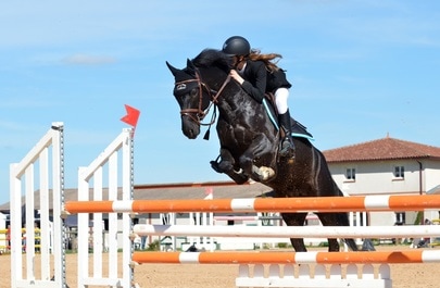 Horse jumping