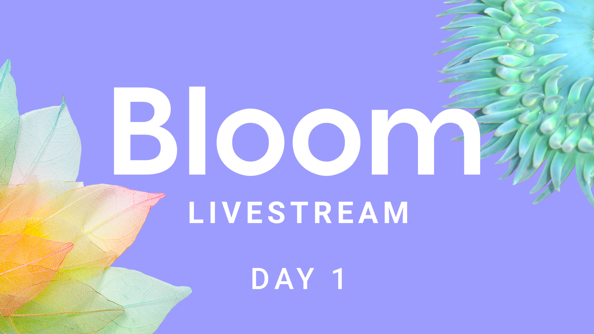 Bloom 23 – Oct 24, 2023–Oct 25, 2023
