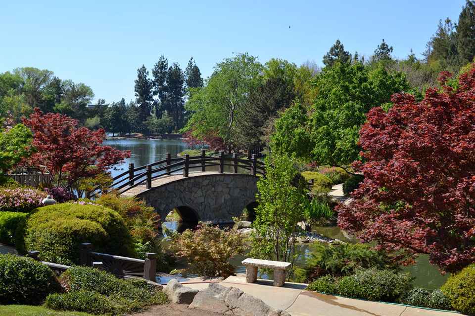 Shinzen Garden Horn Photo