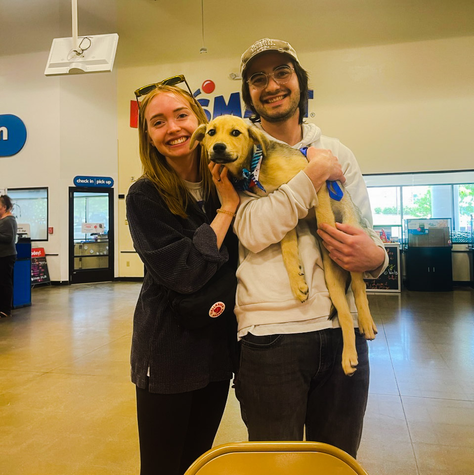 Crossing Paths Animal Rescue Crossing Paths Animal Rescue with