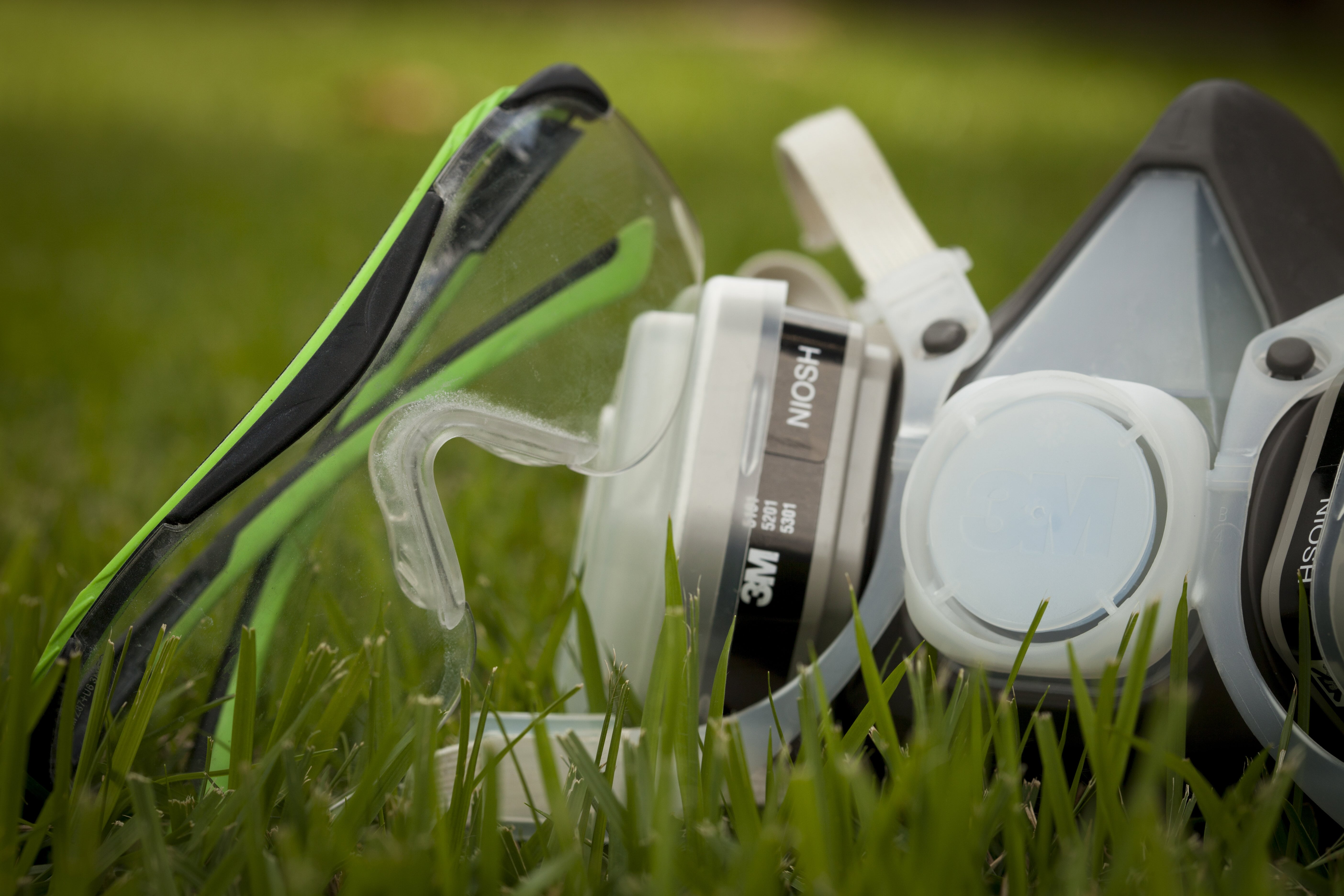 When Is the Best Time of Year to Get an Exterminator in West Palm Beach