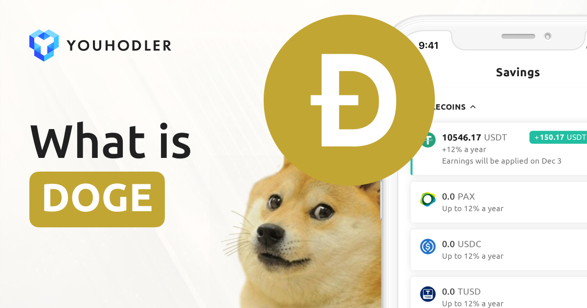 Doge Define Meaning