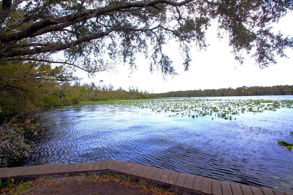 Black Creek Village Green Cove Springs, FL